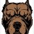 pitbull003